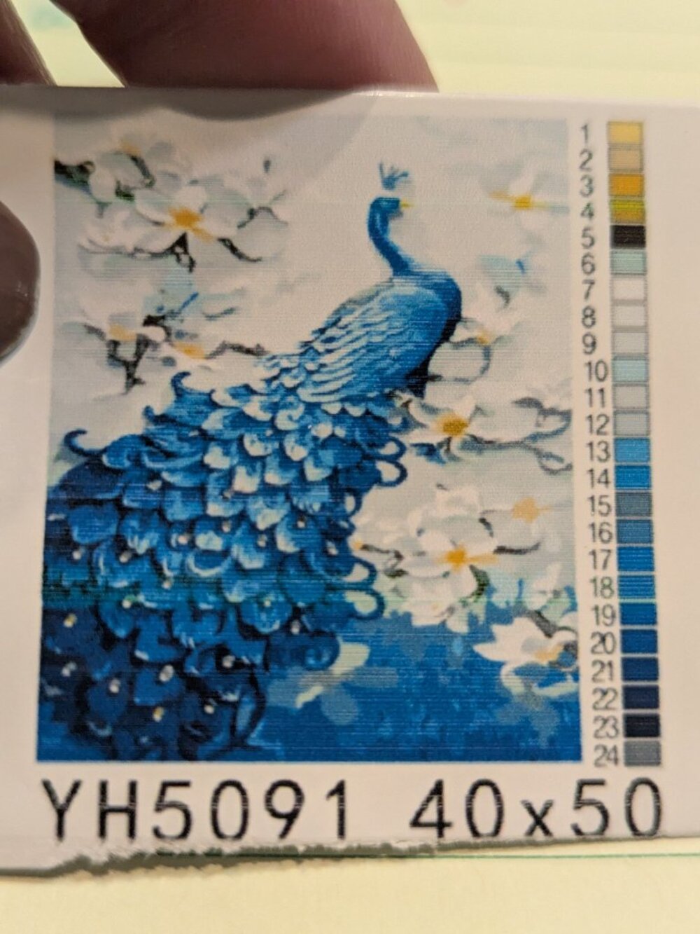 Peacock paint by number 22 x 18.5 inches